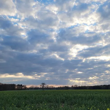 Maerchenhaft Urlauben Auf Dem Alpakahof Apartment Rambow