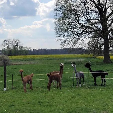 Apartment Maerchenhaft Urlauben Auf Dem Alpakahof