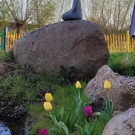 Maerchenhaft Urlauben Auf Dem Alpakahof *