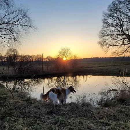 Maerchenhaft Urlauben Auf Dem Alpakahof *