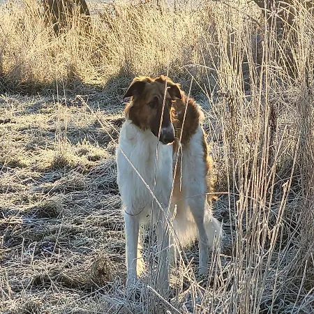 Maerchenhaft Urlauben Auf Dem Alpakahof Apartment