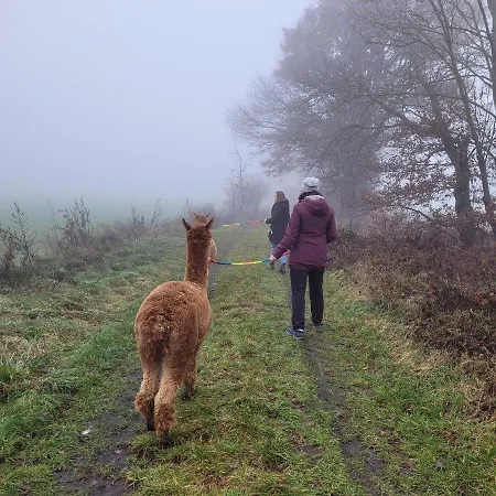 Apartment Maerchenhaft Urlauben Auf Dem Alpakahof Rambow