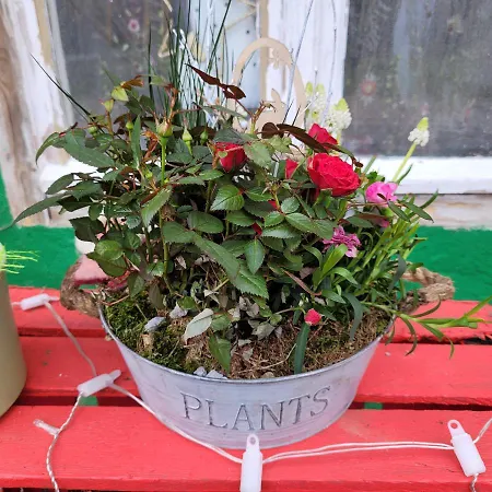 Apartment Maerchenhaft Urlauben Auf Dem Alpakahof Rambow