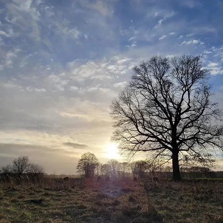 Apartment Maerchenhaft Urlauben Auf Dem Alpakahof