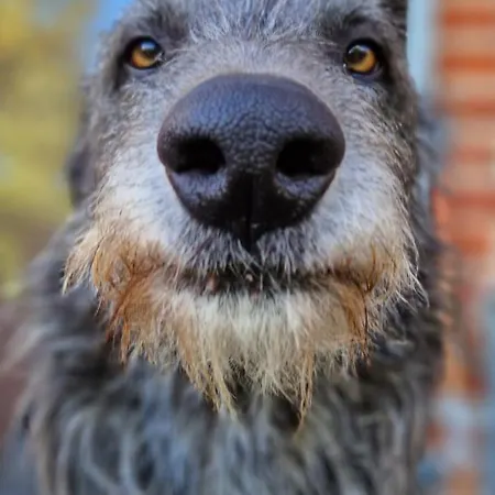 Apartment Maerchenhaft Urlauben Auf Dem Alpakahof *