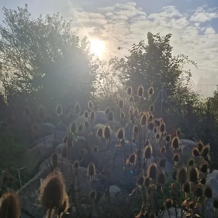 Maerchenhaft Urlauben Auf Dem Alpakahof *