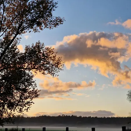 Maerchenhaft Urlauben Auf Dem Alpakahof