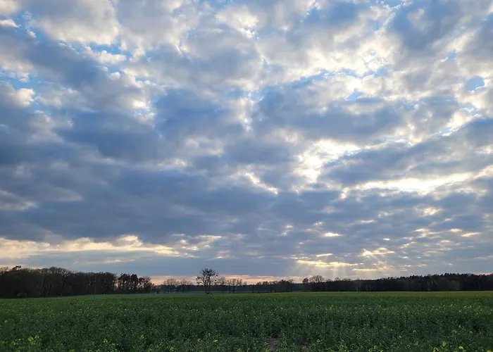 Maerchenhaft Urlauben Auf Dem Alpakahof Apartman Rambow