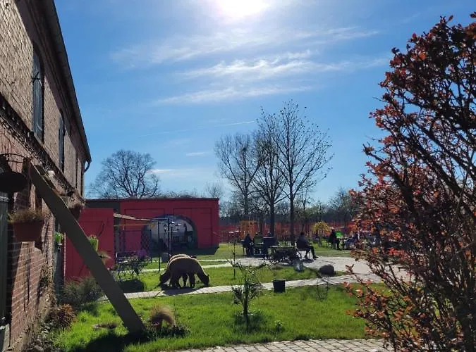 Apartman Maerchenhaft Urlauben Auf Dem Alpakahof Rambow