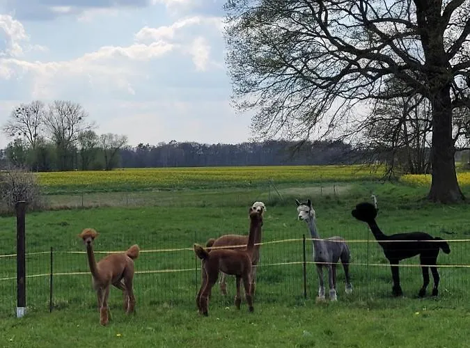 Apartman Maerchenhaft Urlauben Auf Dem Alpakahof