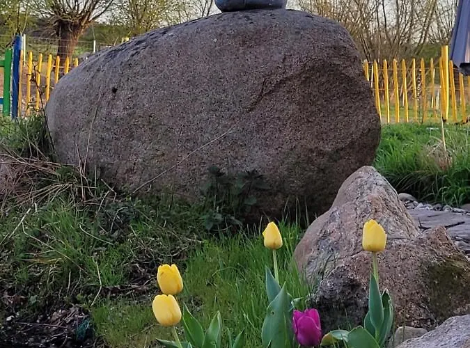 Maerchenhaft Urlauben Auf Dem Alpakahof *
