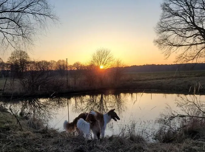 Maerchenhaft Urlauben Auf Dem Alpakahof *