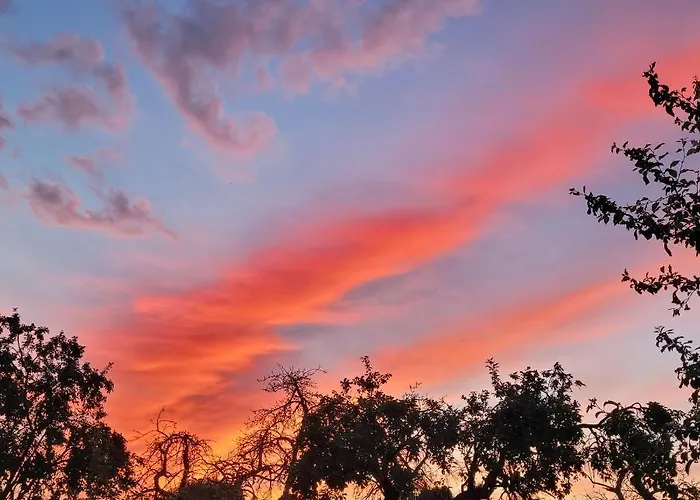 Maerchenhaft Urlauben Auf Dem Alpakahof Apartman *