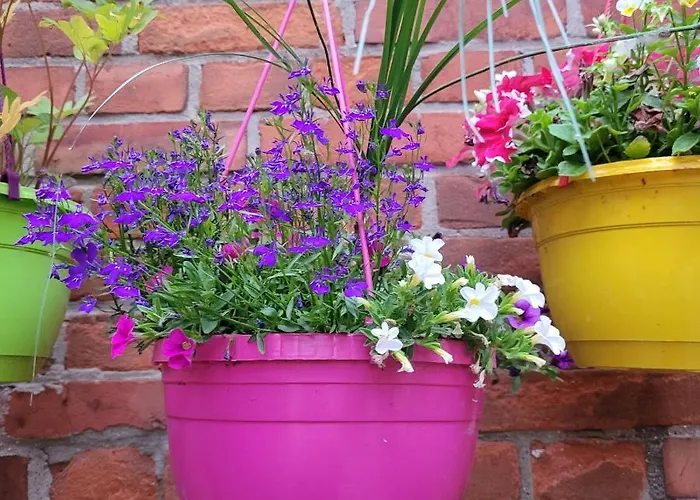 Maerchenhaft Urlauben Auf Dem Alpakahof Apartman *