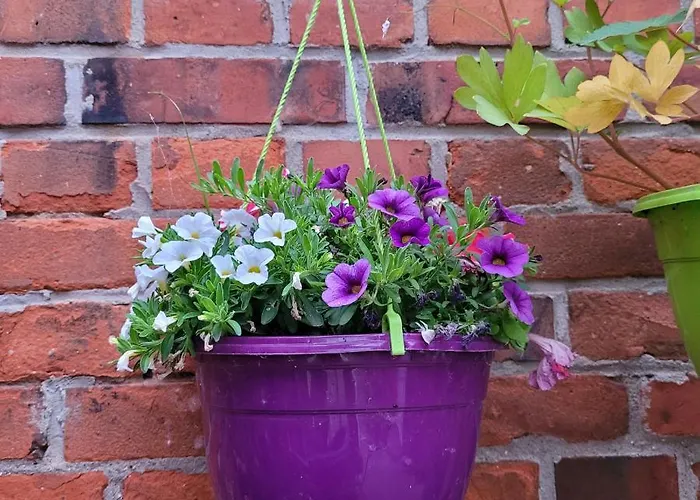 Apartman Maerchenhaft Urlauben Auf Dem Alpakahof Rambow