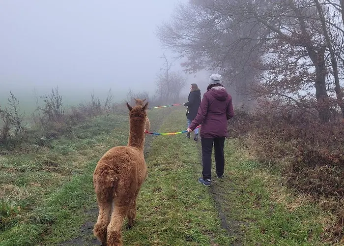 Apartman Maerchenhaft Urlauben Auf Dem Alpakahof Rambow
