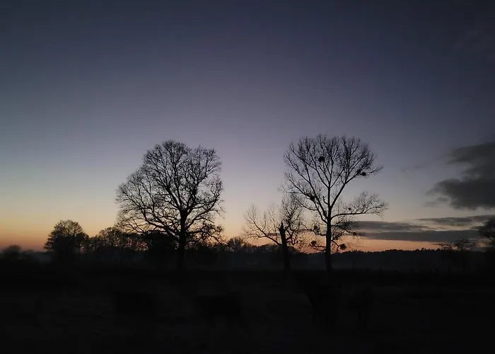 Maerchenhaft Urlauben Auf Dem Alpakahof *
