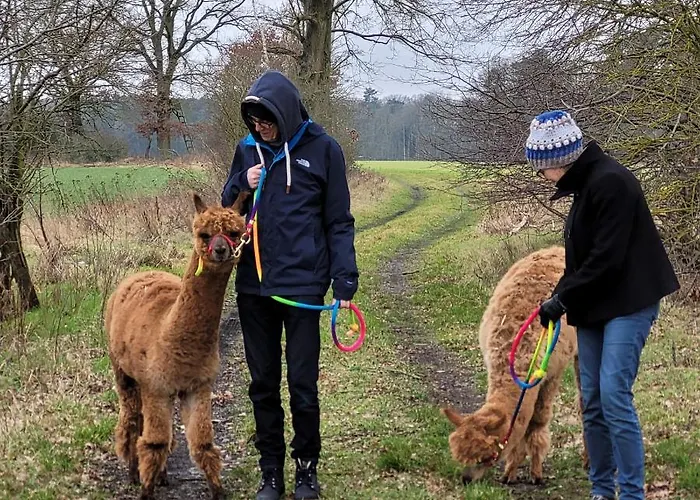 Maerchenhaft Urlauben Auf Dem Alpakahof Apartman *