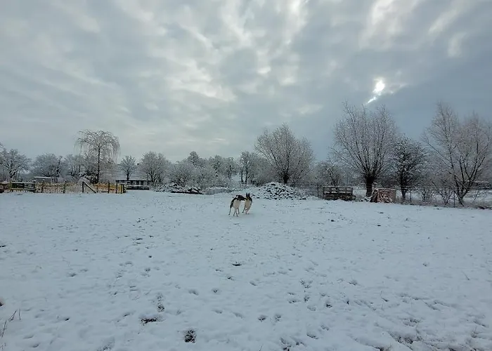 Apartman Maerchenhaft Urlauben Auf Dem Alpakahof