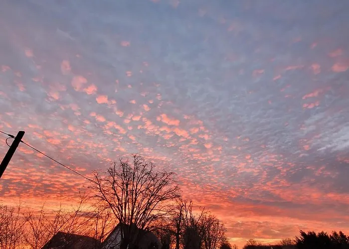 Maerchenhaft Urlauben Auf Dem Alpakahof * Rambow