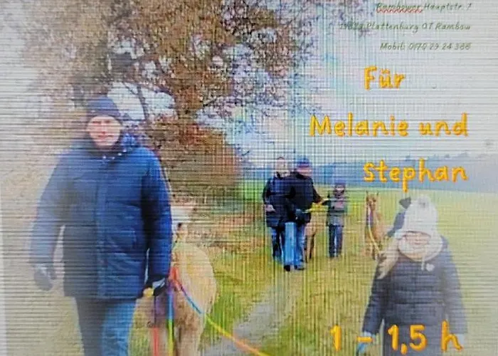 Apartman Maerchenhaft Urlauben Auf Dem Alpakahof *