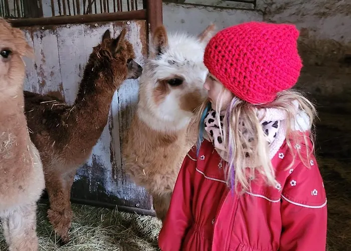 Maerchenhaft Urlauben Auf Dem Alpakahof *