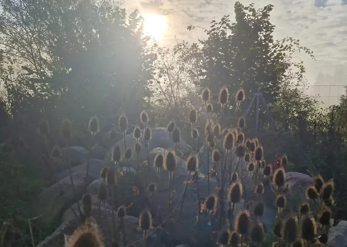 Maerchenhaft Urlauben Auf Dem Alpakahof *