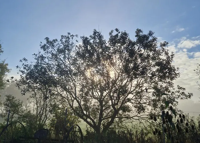 Maerchenhaft Urlauben Auf Dem Alpakahof * Rambow