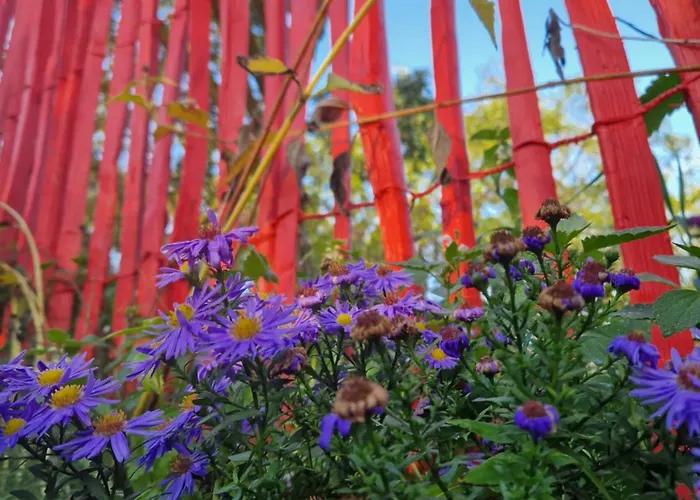 Apartman Maerchenhaft Urlauben Auf Dem Alpakahof