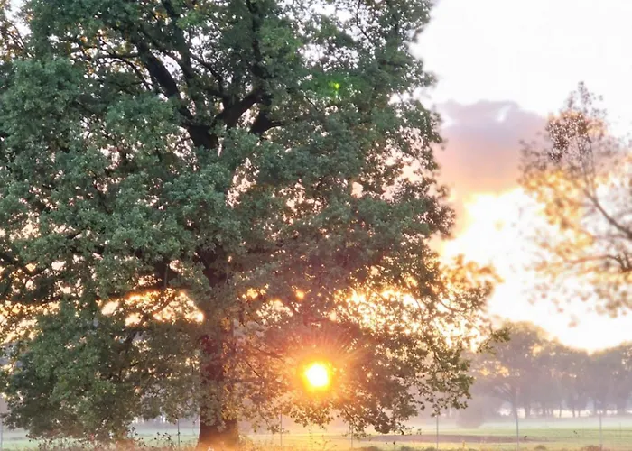 Maerchenhaft Urlauben Auf Dem Alpakahof * Rambow